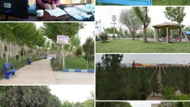 توزیع بیش از بیست هزار نهال در هفته منابع طبیعی توسط شهرداری صفادشت