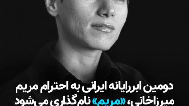 دومین سوپر کامپیوتر ایرانی به نام مریم نامگذاری می شود