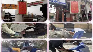 اجرای طرح واکسیناسیون هاری سگ ها