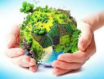 پویش «نه به ریختن زباله» تدبیری هوشمندانه برای پاسداشت حق طبیعت