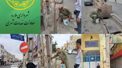 اجرای طرح سم پاشی بابت حیوانات موذی در شهر ملارد