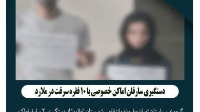 دستگیری سارقان اماکن خصوصی در ملارد