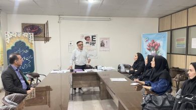 برگزاری کارگاه آموزشی مراکز مثبت زندگی ویژه طرح غربالگری بینایی