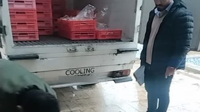 بیش از 400 کیلوگرم آلایش خوراکی مرغ فاسد کشف و معدوم شد