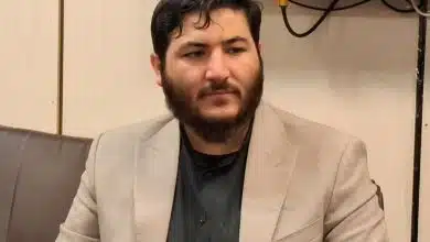 مهدی شاهوردی