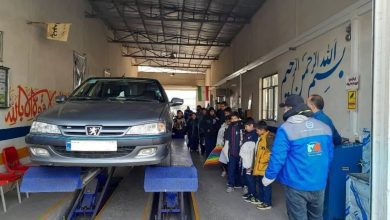 دانش آموزان ملاردی به استقبال هفته گرامیداشت هوای پاک رفتند