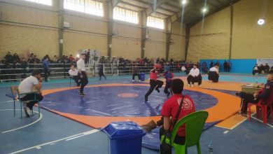 پانزدهمین دوره مسابقات انتخابی انجمن کونگ فو توتایمای استان تهران