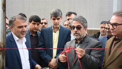 افتتاح گلخانه تولید توت فرنگی در بخش صفادشت با حضور معاون استاندار تهران