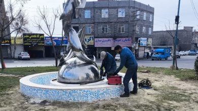 المان دلفین