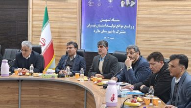 شهرک صنعتی ملارد، نخستین شهرک صنعتی خودتامین انرژی