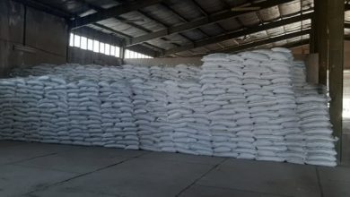 1000 تن انواع کودهای کشاورزی توسط شرکت خدمات حمایتی کشاورزی استان تهران در شهرستان ملارد توزیع گردید