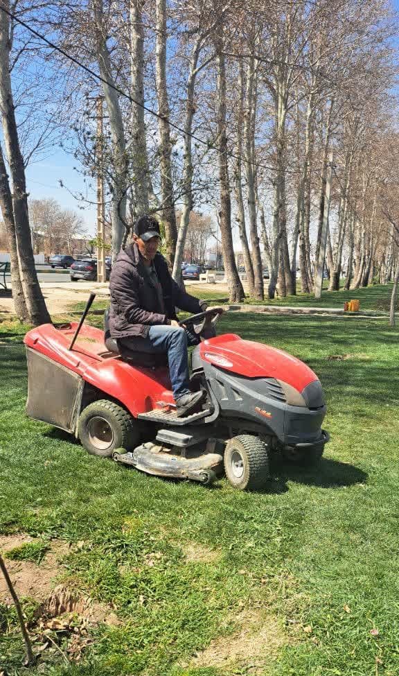 هرس و فرم دهی درختان و فضای سبز شهری ملارد