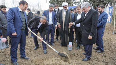 کاشت ۳۲۰۰ نهال در ملارد