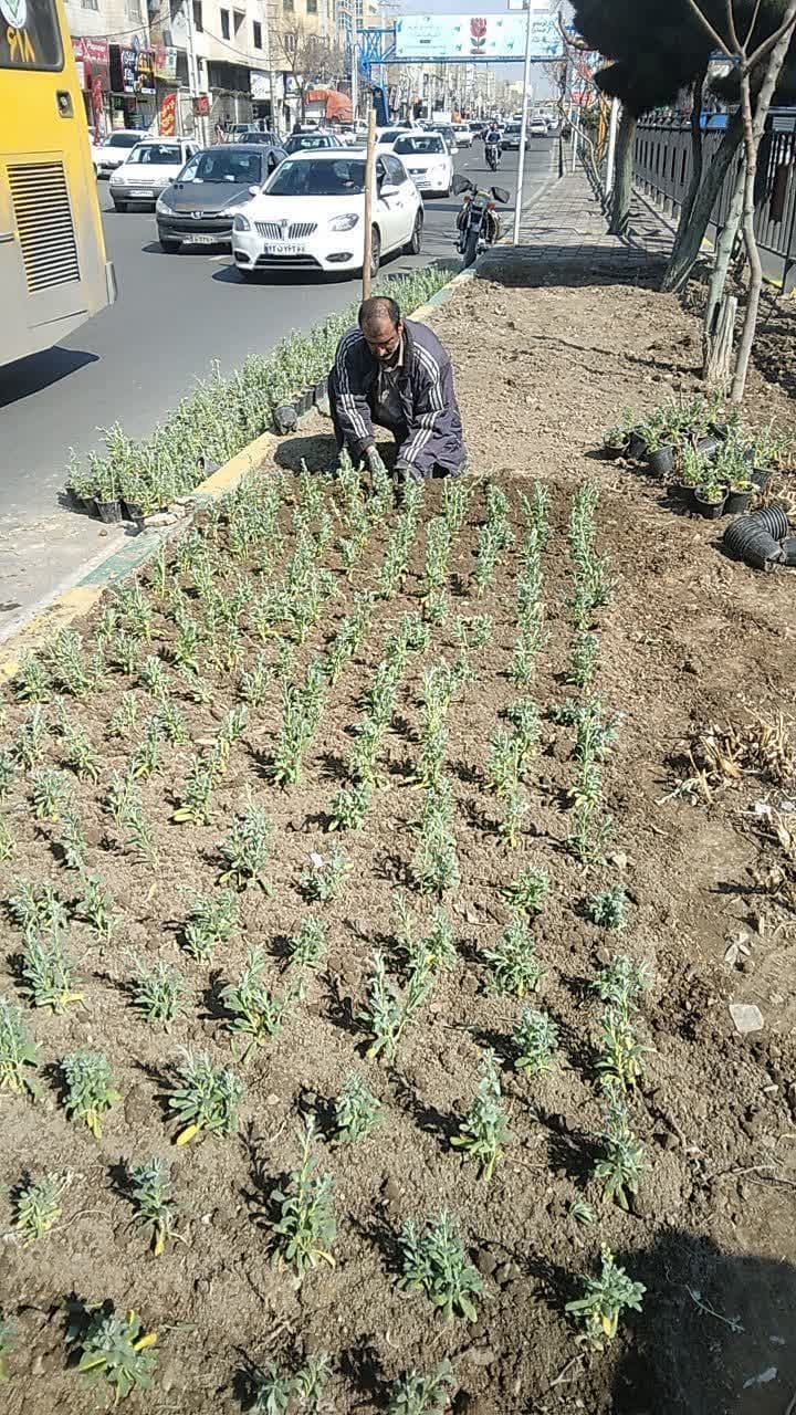 گل کاری فصلی ملارد