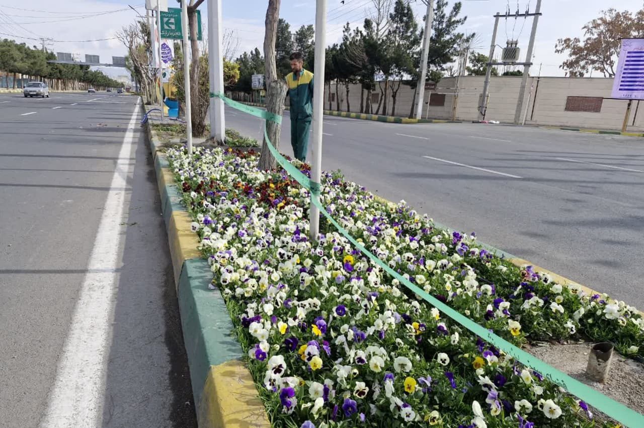 گل کاری فصلی در شهر ملارد