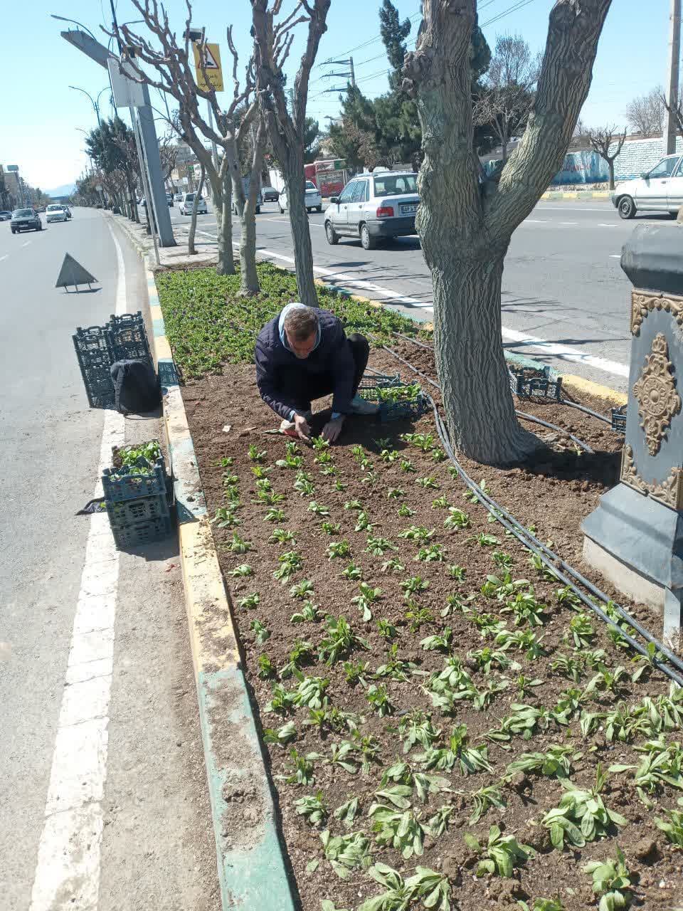 گل کاری فصلی در شهر ملارد