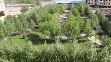 13 بدر ملارد