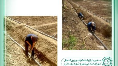 اجرای رینگ شبکه آبرسانی و آبیاری قطره‌ای در نهالستان شهرداری