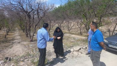 بازدید میدانی بخشدار مرکزی از باغات روستای اسفندآباد