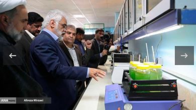 راه‌اندازی شبکه ملی زیست فناوری جلبک
