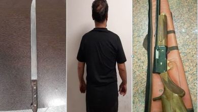 عمليات ويژه پليس ملارد و دستگيري اوباش