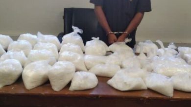 کشف ۲۷ کیلوگرم شیشه و دستگیری قاچاقچی در ملارد