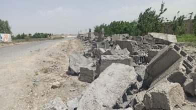 آزادسازی ۶ هزار متر مربع اراضی کشاورزی در ملارد