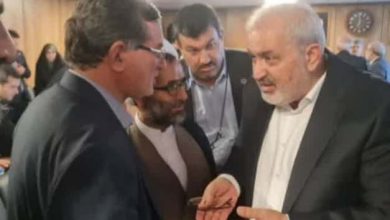 دیدار حسین حق وردی با وزیر نیرو