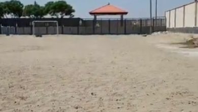 شهرداری ملارد آماده‌ سازی زمین‌ ورزش‌ های ساحلی را برای میزبانی رقابت‌ های کشتی جوانان کشور تکمیل کرد