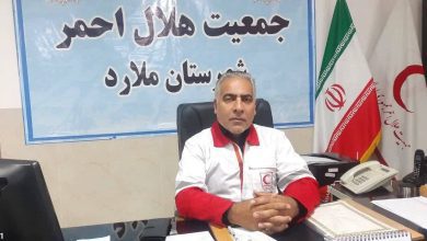 علی ولی زاده