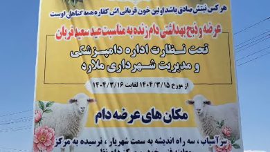 ایجاد مراکز عرضه مستقیم و بهداشتی دام توسط شهرداری ملارد در آستانه عید قربان