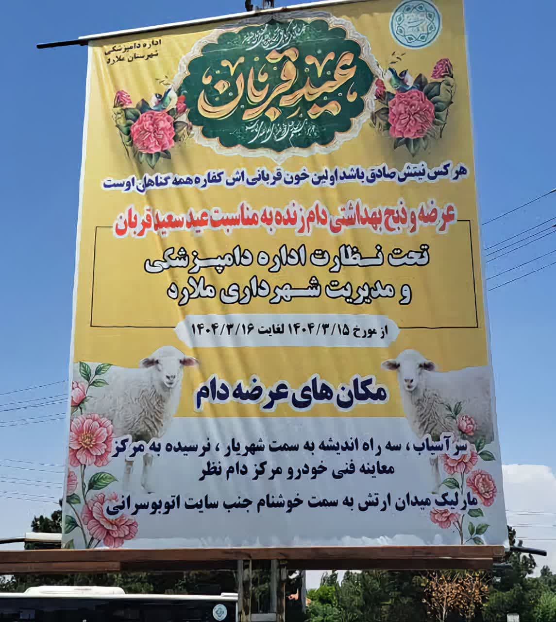 ایجاد مراکز عرضه مستقیم و بهداشتی دام توسط شهرداری ملارد در آستانه عید قربان