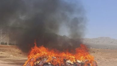 بیش از ۲ تن مواد مخدر در غرب استان تهران امحا شد