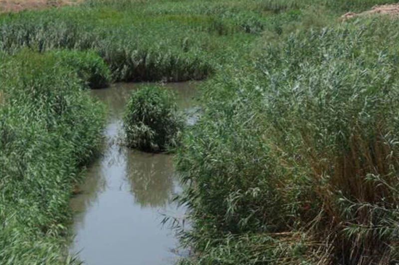 ورود پساب‌های صنعتی به داخل رودخانه شور ملارد