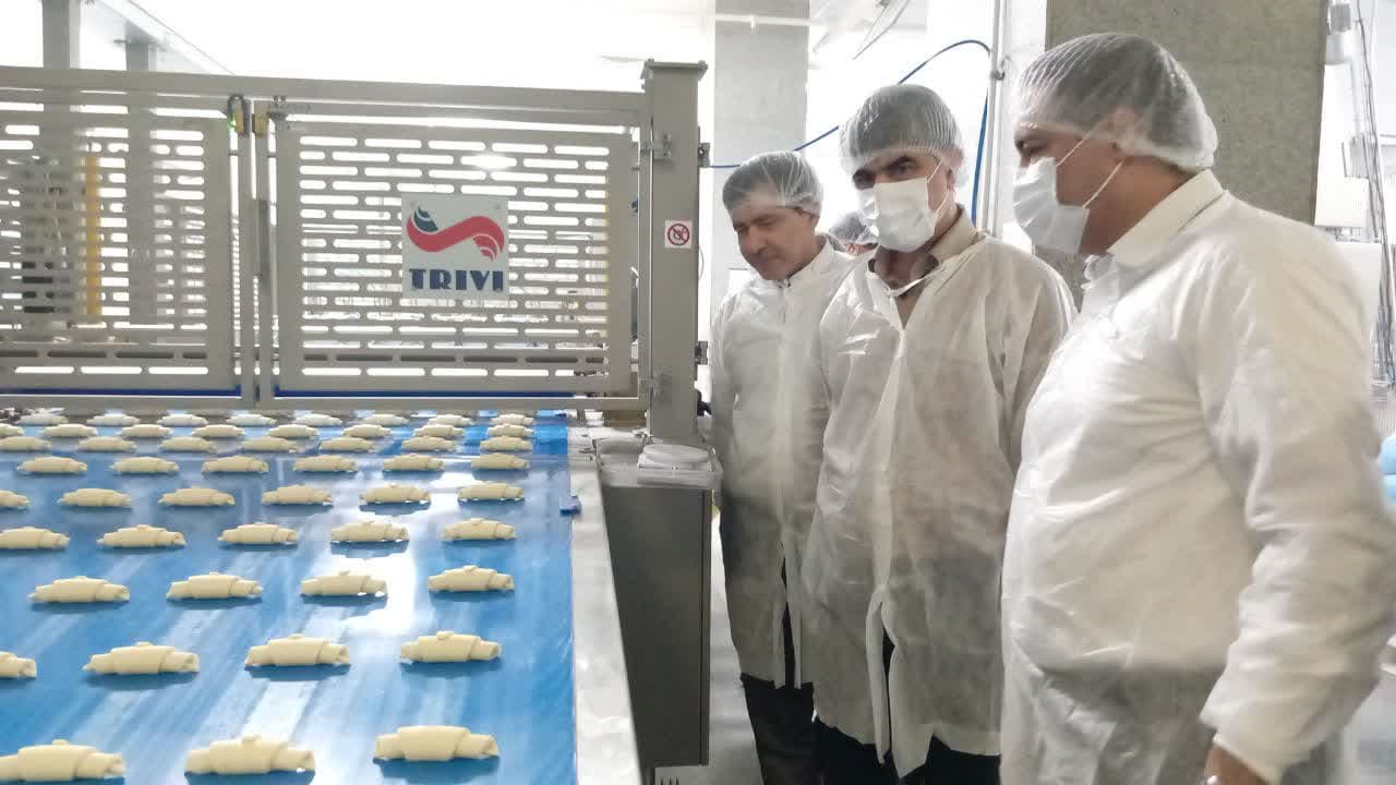 بازدید فرماندار ملارد از خط تولید شرکت گندم طلایی نوتیرکا(پچ پچ) در شهرک صنعتی صفادشت