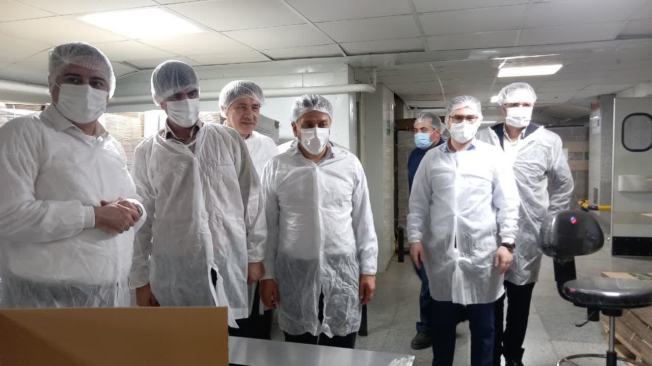 بازدید فرماندار ملارد از خط تولید شرکت گندم طلایی نوتیرکا(پچ پچ) در شهرک صنعتی صفادشت