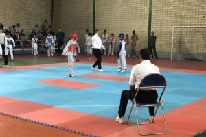 برگزاری مسابقات انتخابی تکواندو شهرستان ملارد برای اعزام به رقابت‌های قهرمان قهرمانان استان تهران