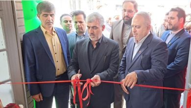 معاون وزیر در ملارد مسیر رسیدن به قله از آموزش و پرورش می گذرد