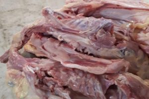 پلمب واحد صنفی متخلف عرضه غیرمجاز خوراک حیوانات خانگی در شهرستان ملارد