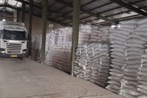 150 تن انواع کودهای کشاورزی دربین کشاورزان شهرستان ملارد توزیع شد