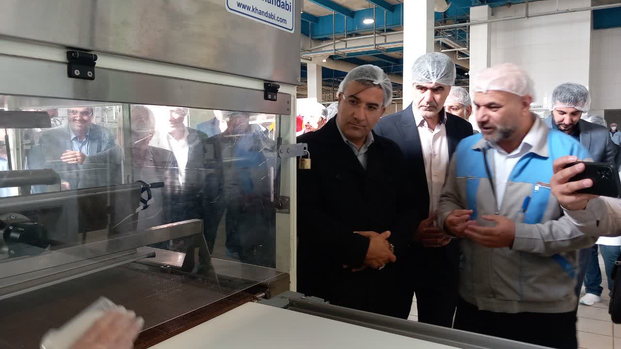 افتتاح خط تولید پنیر شکلاتی در شهرستان ملارد