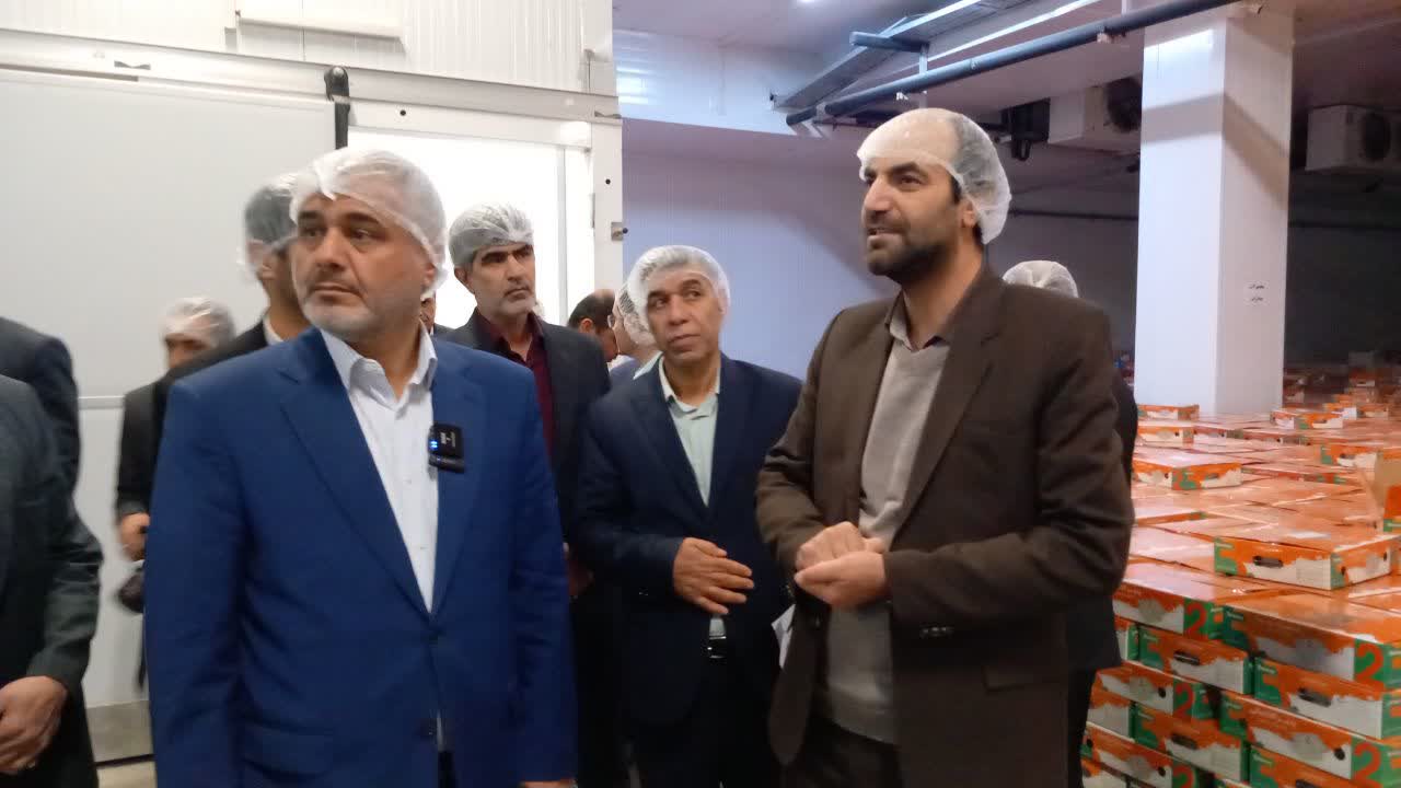 بازدید رئیس کل دادگستری استان تهران از واحد‌های تولیدی شهرک صنعتی صفادشت شهرستان ملارد