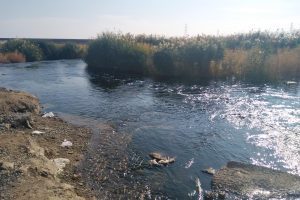 ورود فاضلاب شهری البرز عامل اصلی آلودگی رودخانه شور ملارد