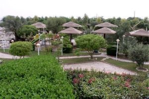 افزایش 5 هزار متری سرانه فضای سبز در مارلیک