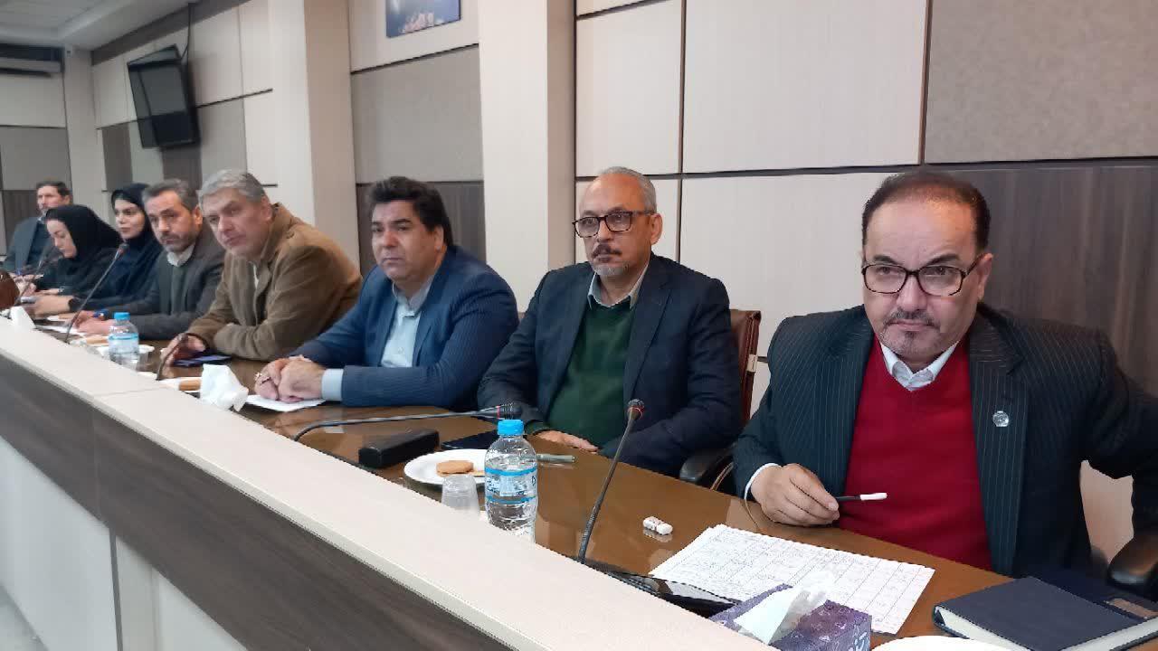 تأکید بر ضرورت پرداخت وام مشاغل خانگی به هنرمندان ملارد