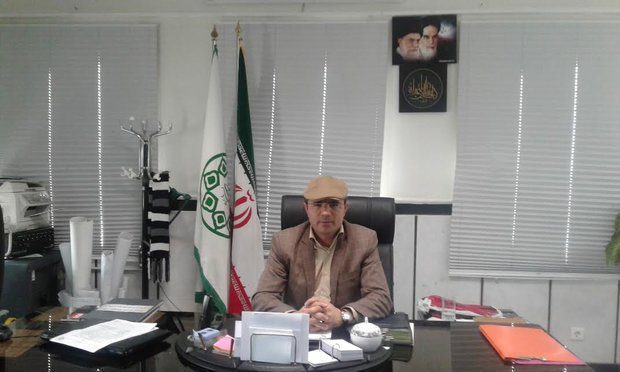 سرانه فضای سبز شهری ملارد ۳ متر است