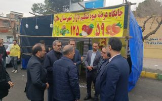 حضور مدیرعامل تعاون مرکزی روستایی کشور در شهرستان ملارد