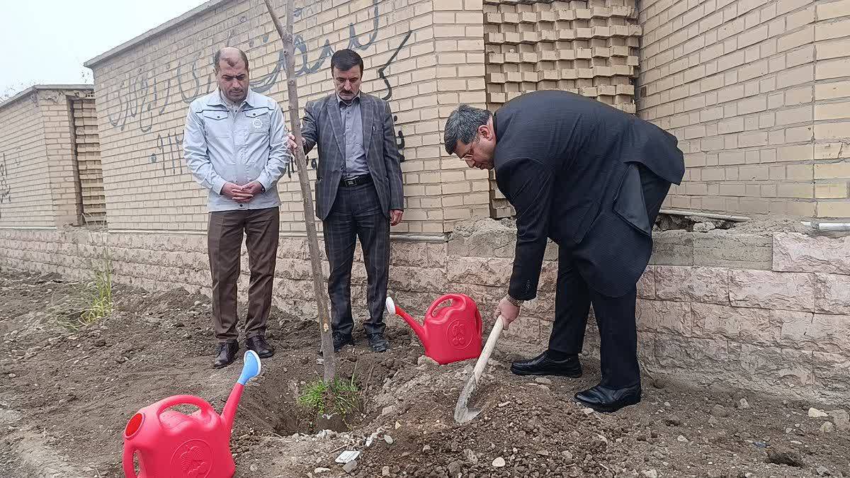 پیوستن اداره محیط زیست ملارد به پویش ملی «سرو ایران» برای گسترش فضای سبز