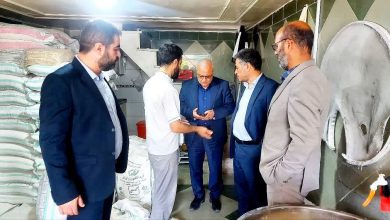 تجهیز ۵۵ درصد نانوایی‌های ملارد به سوخت دوم برای مدیریت شرایط بحران