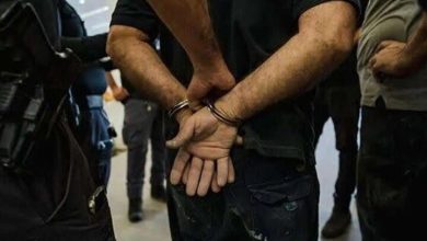 دستگیری دو سارق تحت تعقیب در ملارد